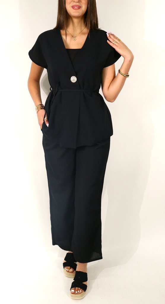 Ensemble ANNA 
