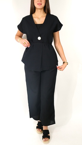 Ensemble ANNA 